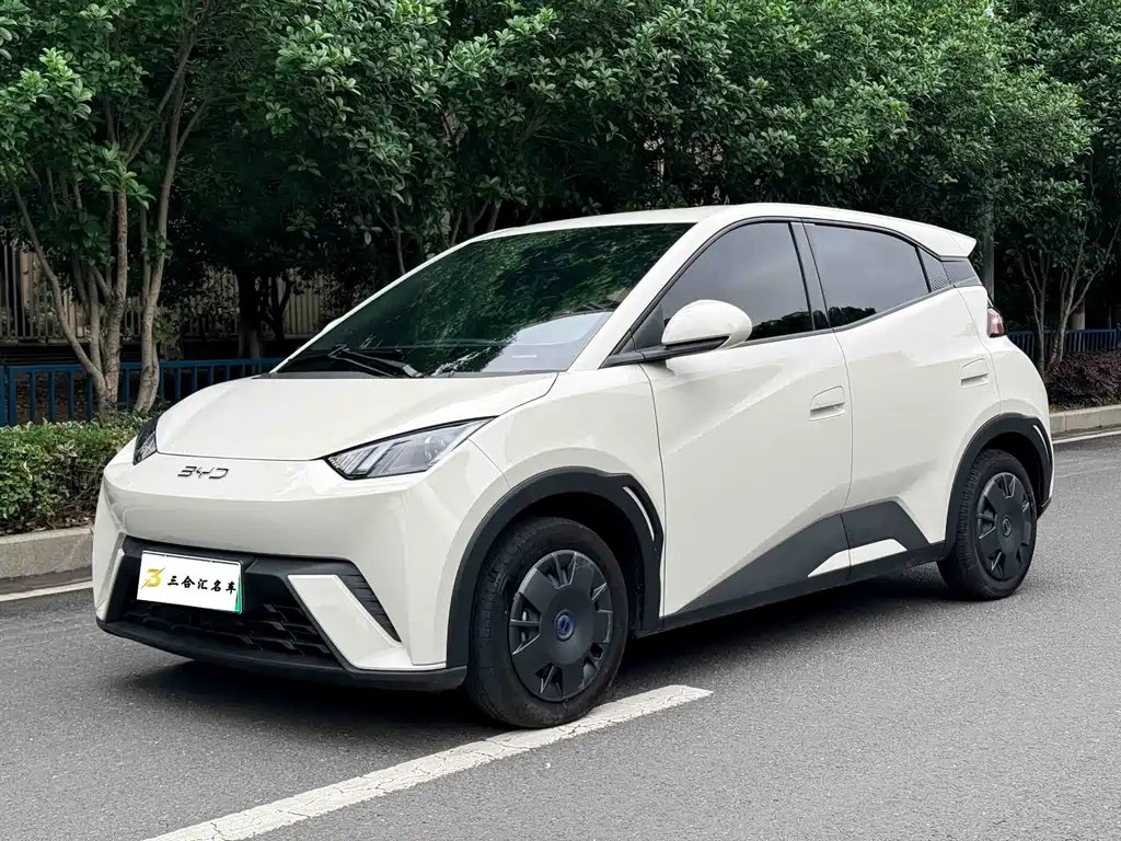 BYD Seagull 2024