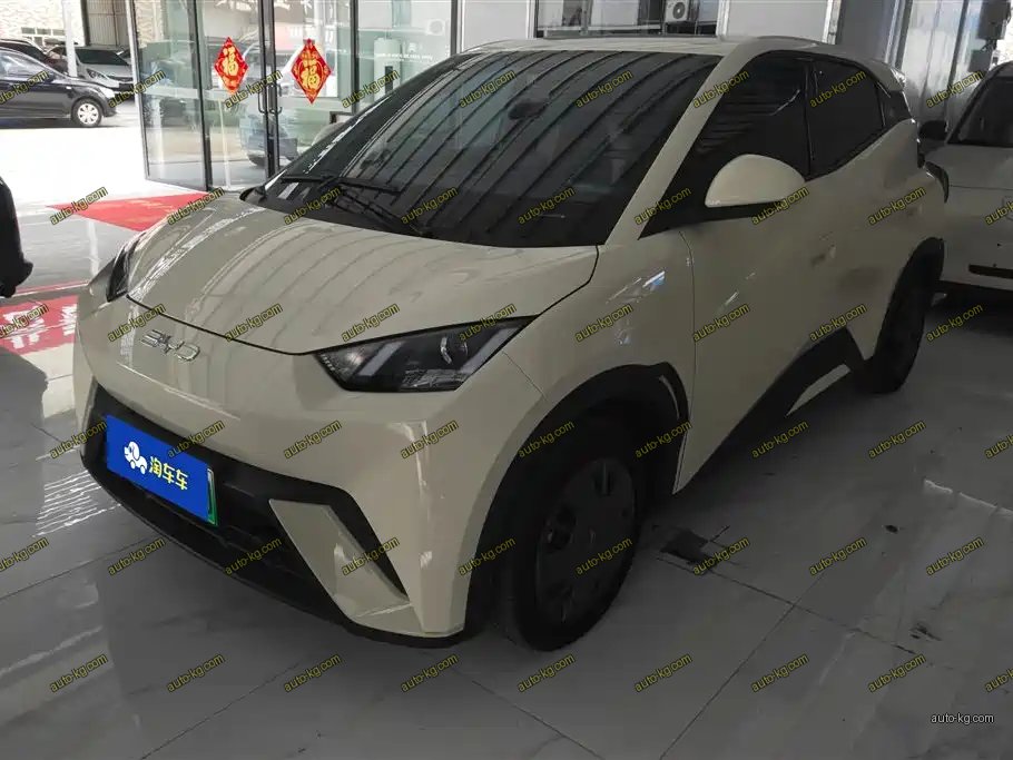 BYD Seagull 2024