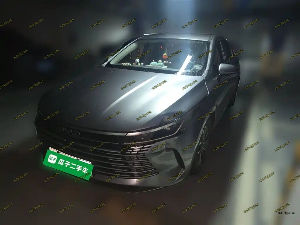 BYD Destroyer 05 2024