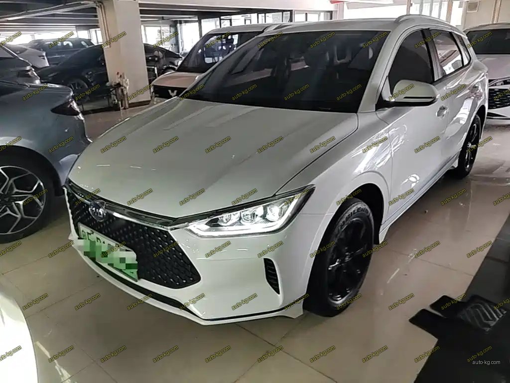 BYD e2 2021