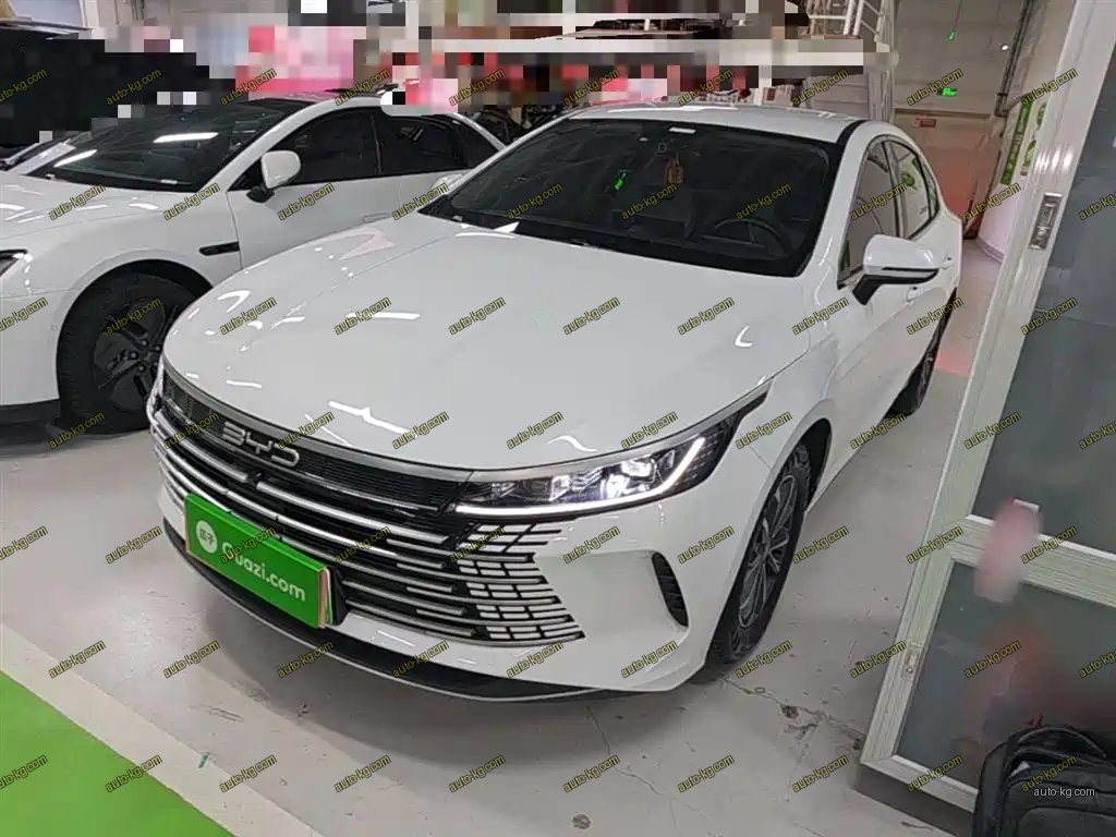 BYD Destroyer 05 2024