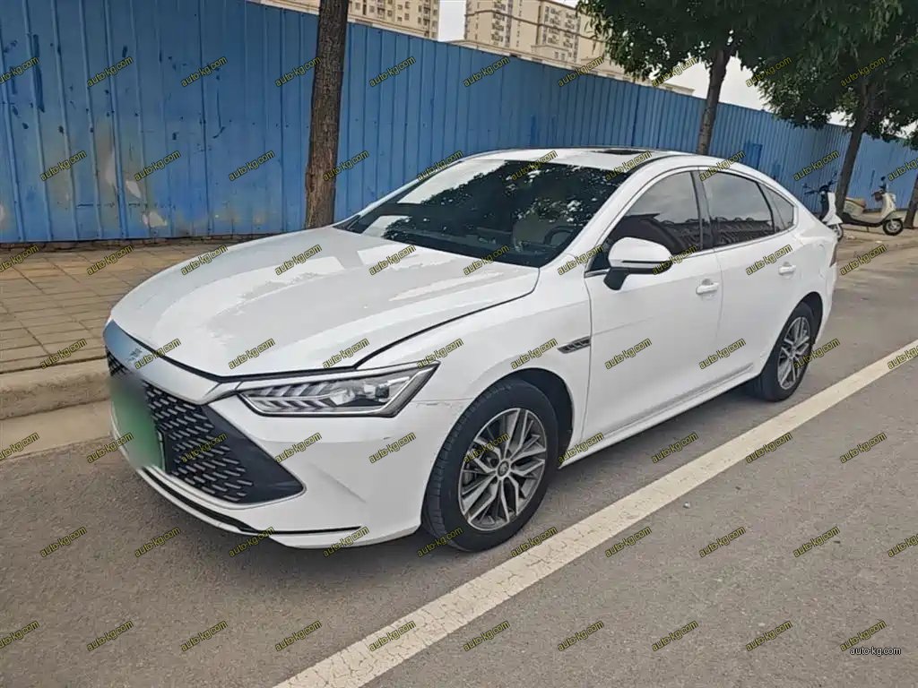 BYD Qin PLUS 2023