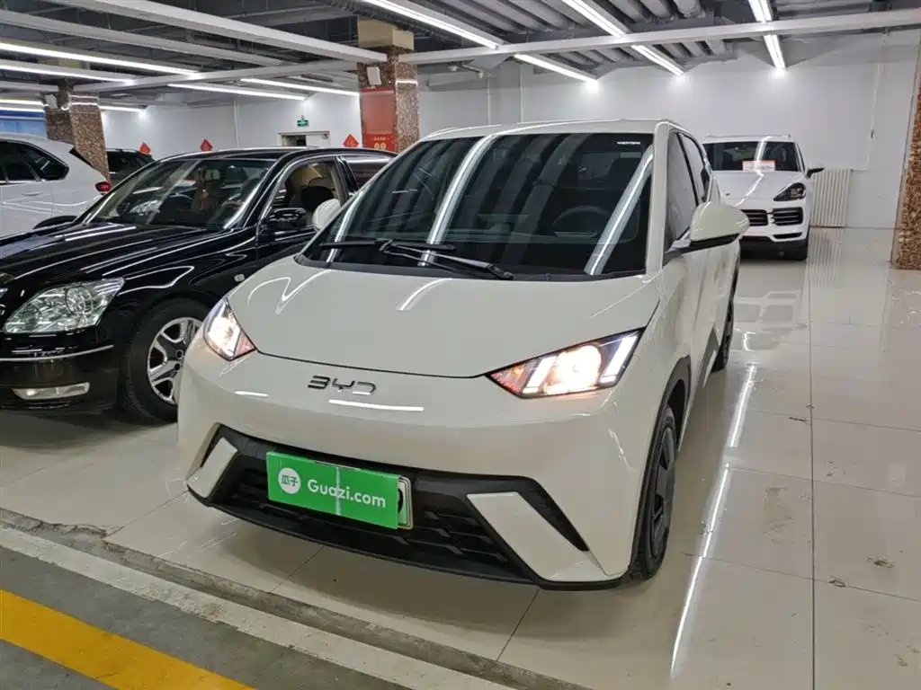 BYD Seagull 2025