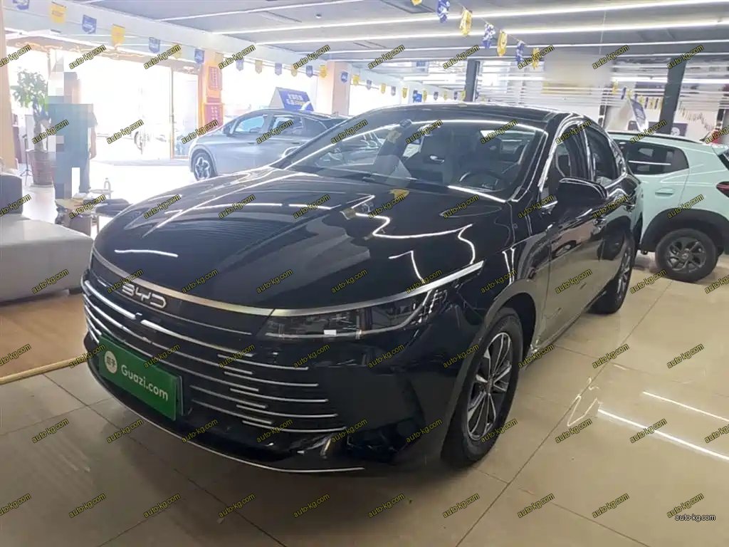 BYD Destroyer 05 2024