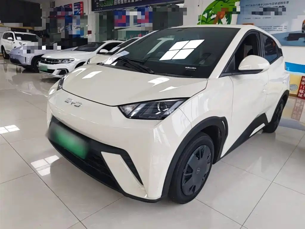 BYD Seagull 2024