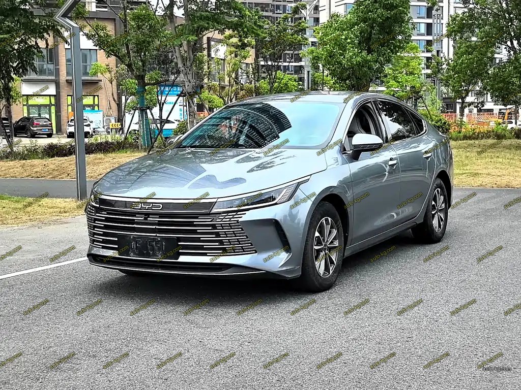 BYD Destroyer 05 2024