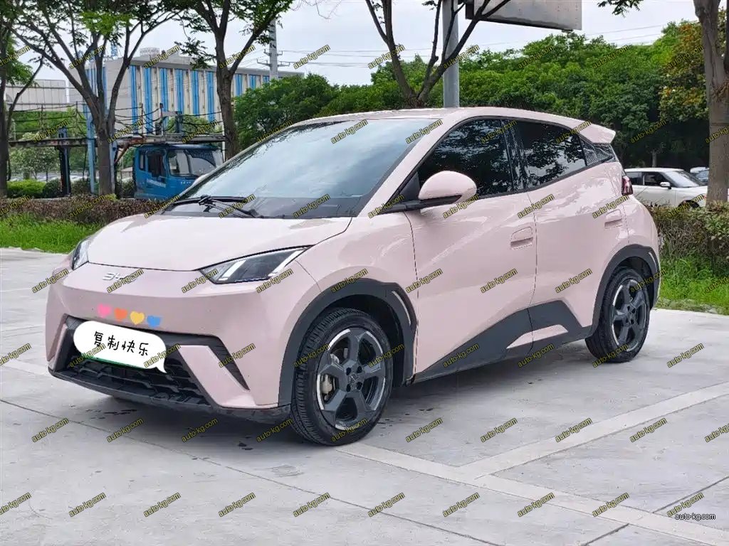 BYD Seagull 2024