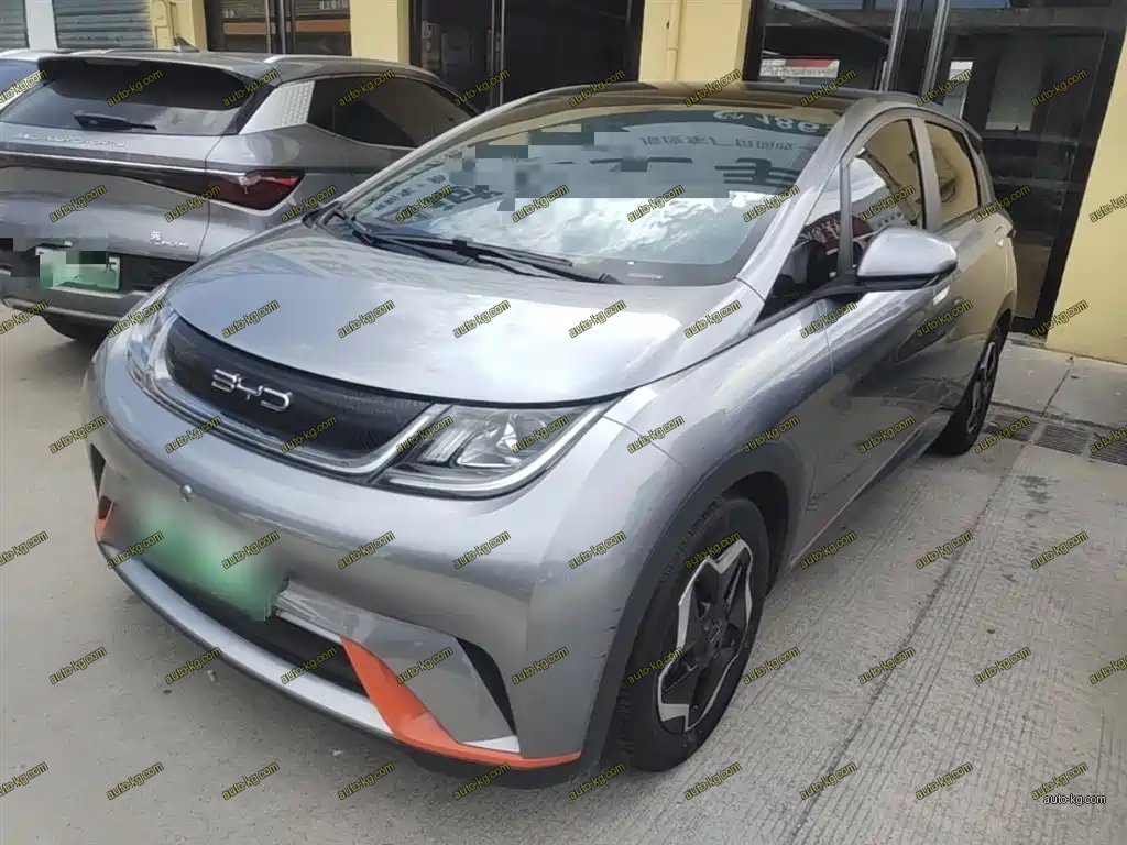 BYD Dolphin 2022