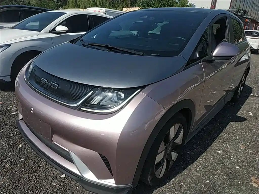 BYD Dolphin 2022