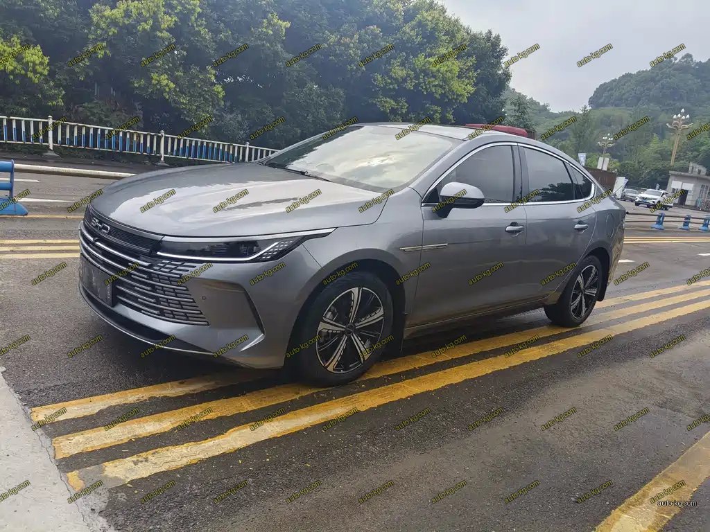 BYD Destroyer 05 2022