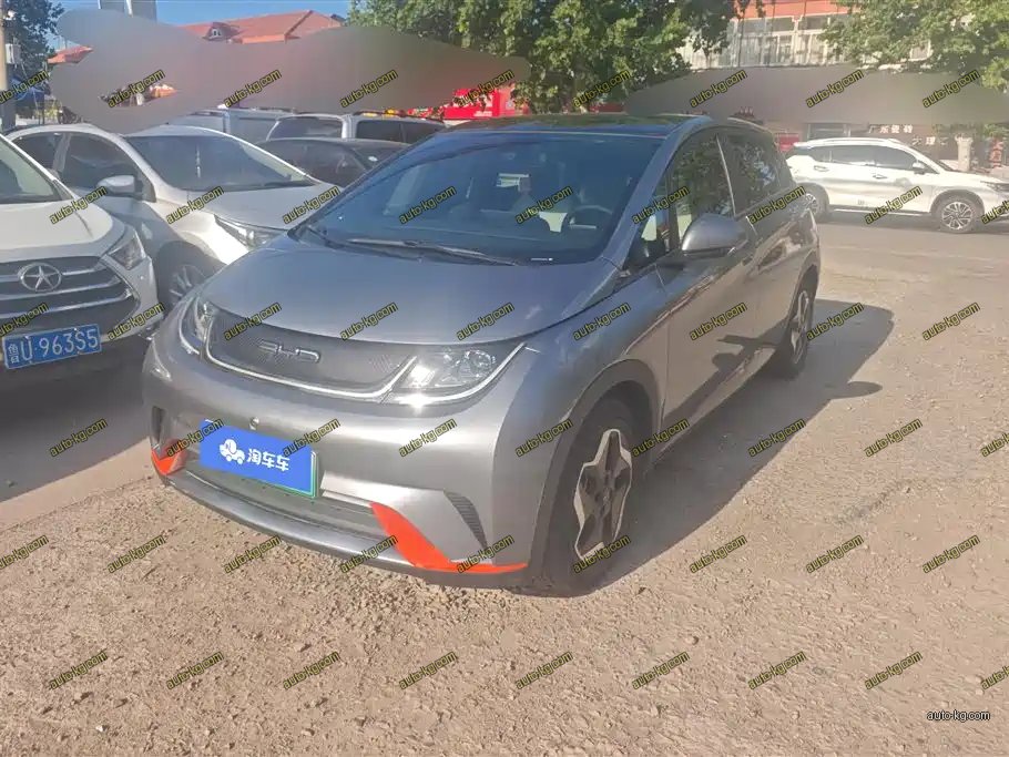 BYD Dolphin 2022