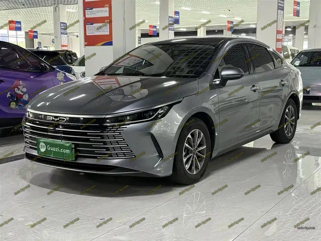 BYD Destroyer 05 2024