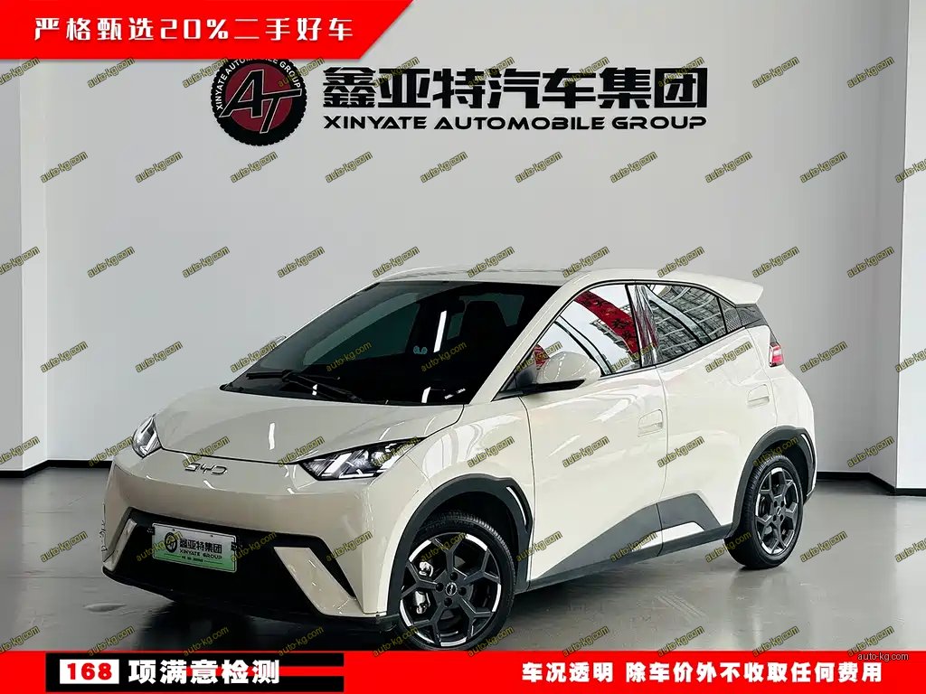 BYD Seagull 2024