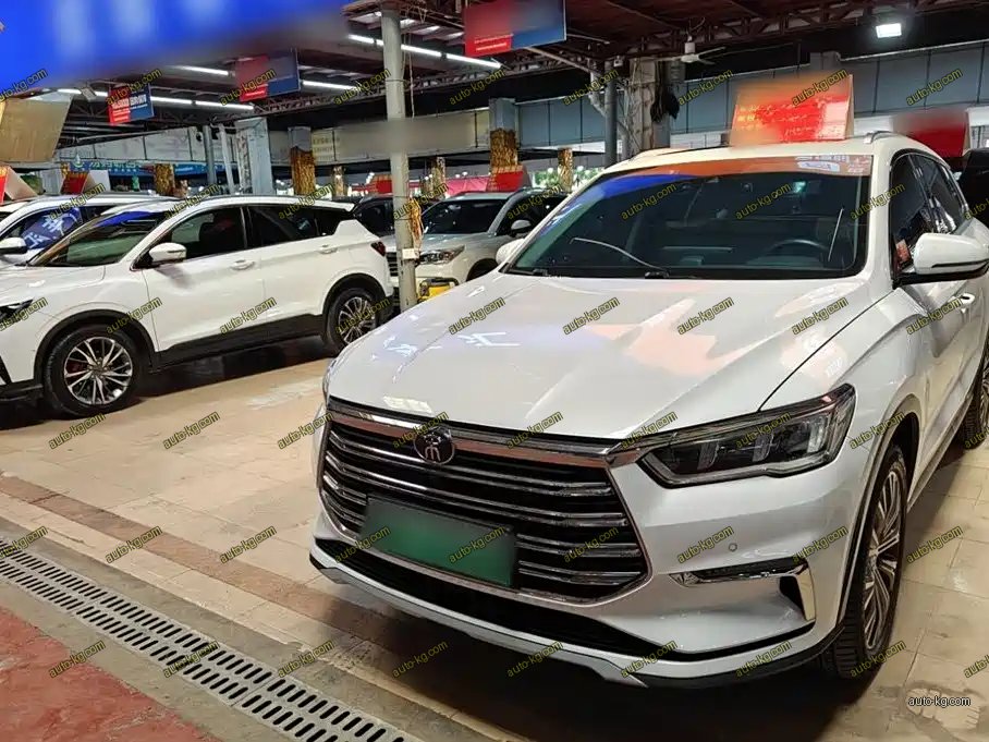 BYD Pro New Energy 2020