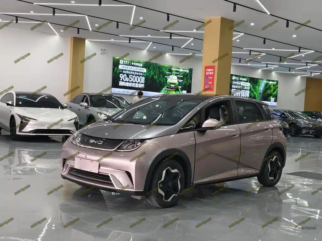 BYD Dolphin 2022