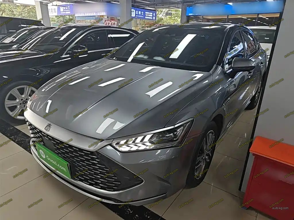 BYD Qin PLUS 2022