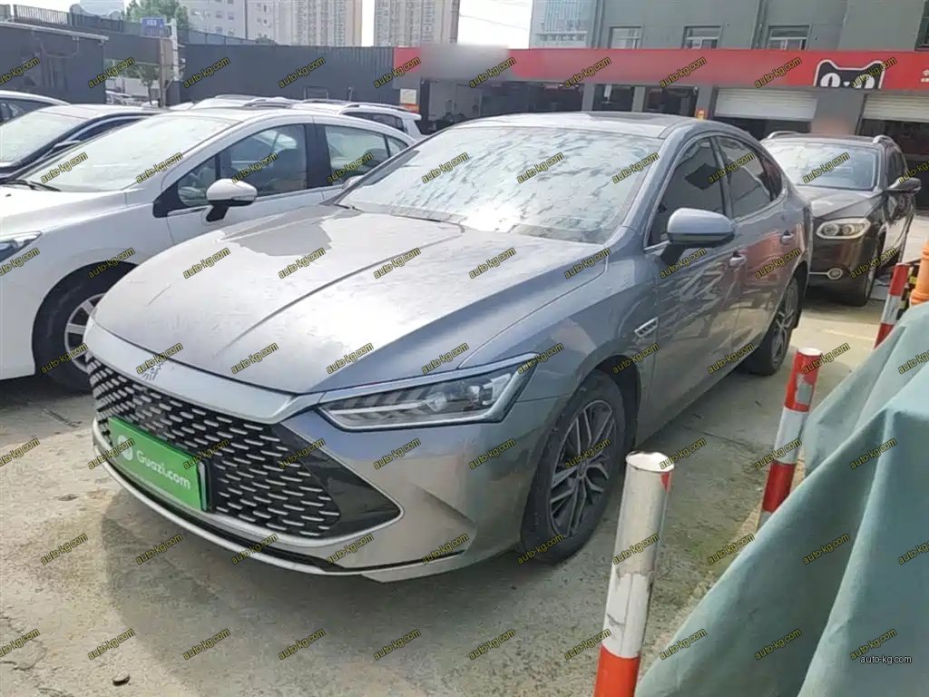 BYD Qin PLUS 2023