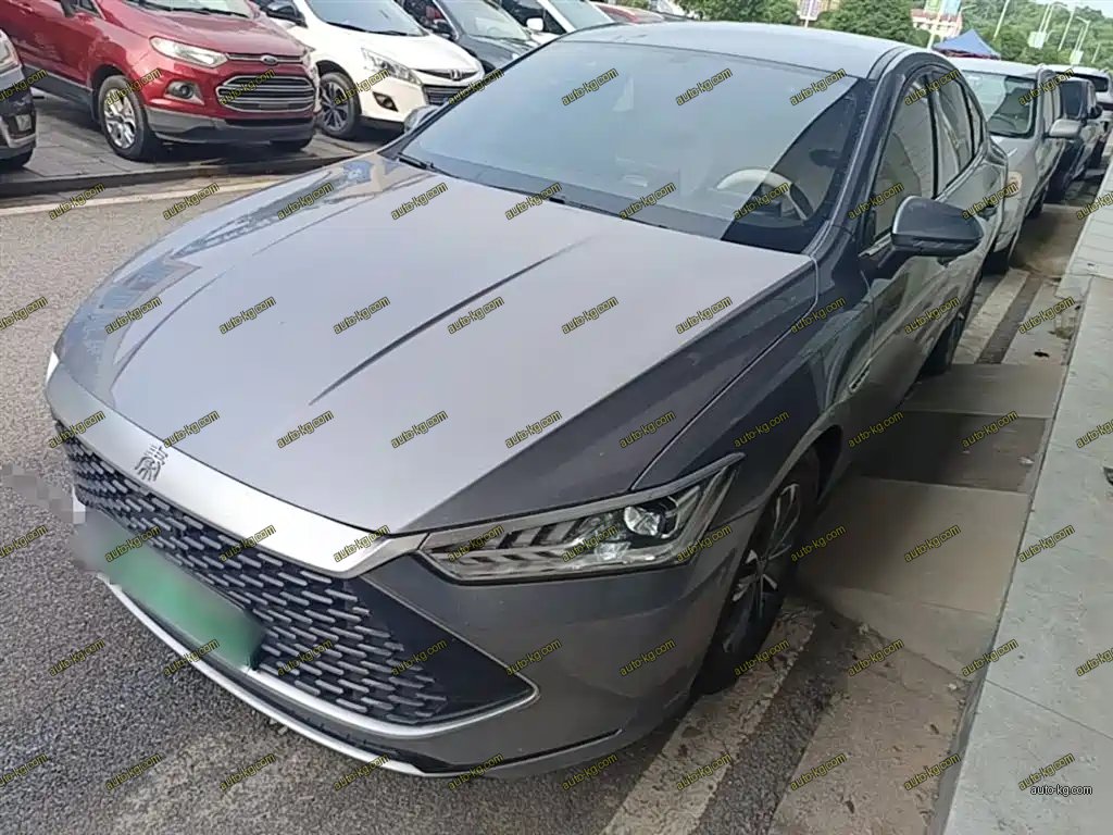 BYD Qin PLUS 2024
