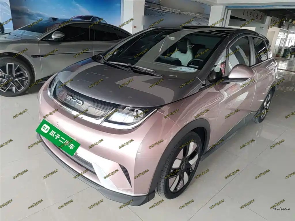 BYD Dolphin 2021