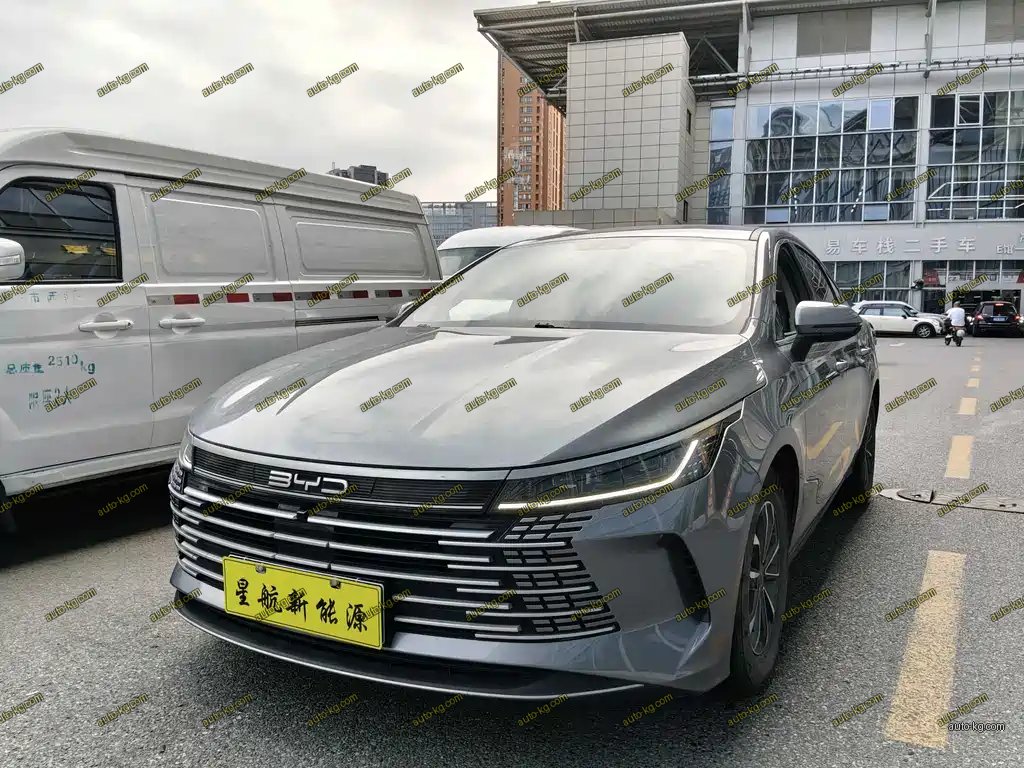 BYD Destroyer 05 2024