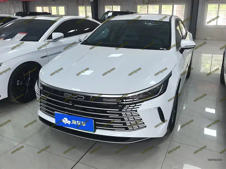 BYD Destroyer 05 2024