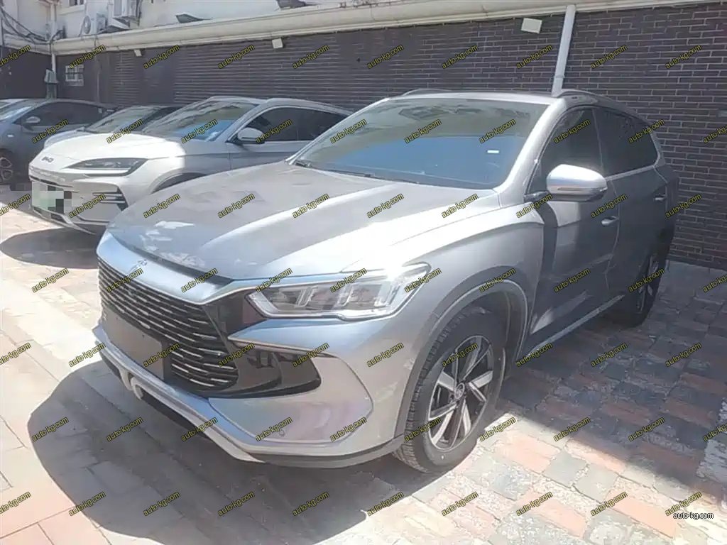 BYD Pro New Energy 2024