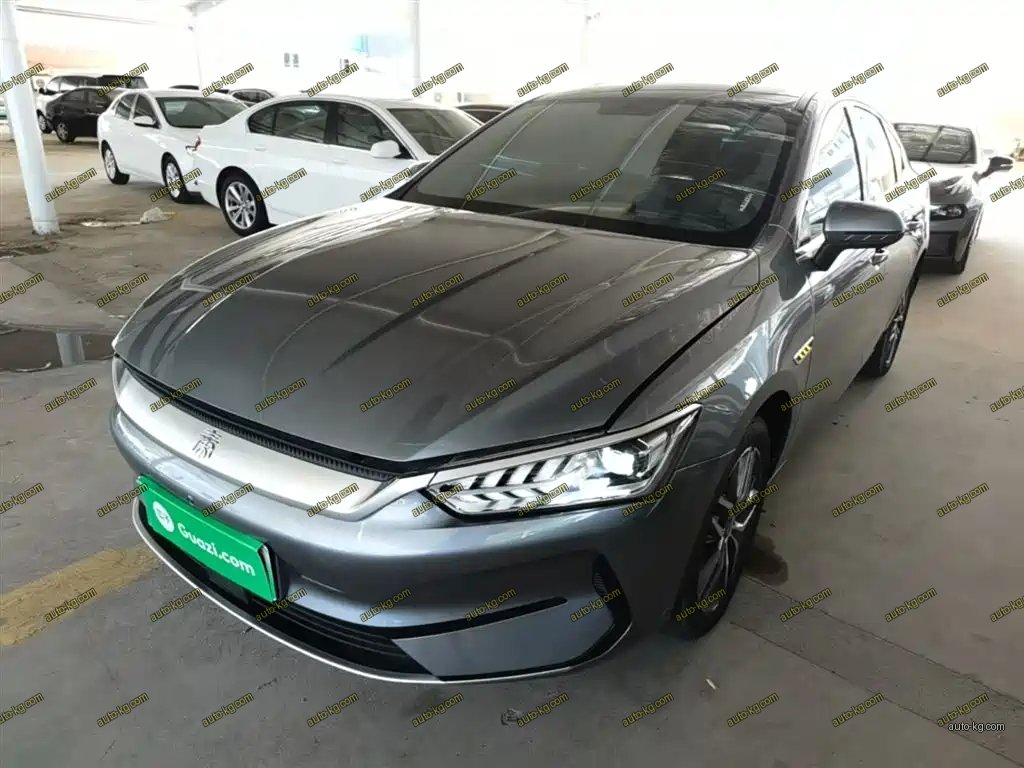 BYD Qin PLUS 2024