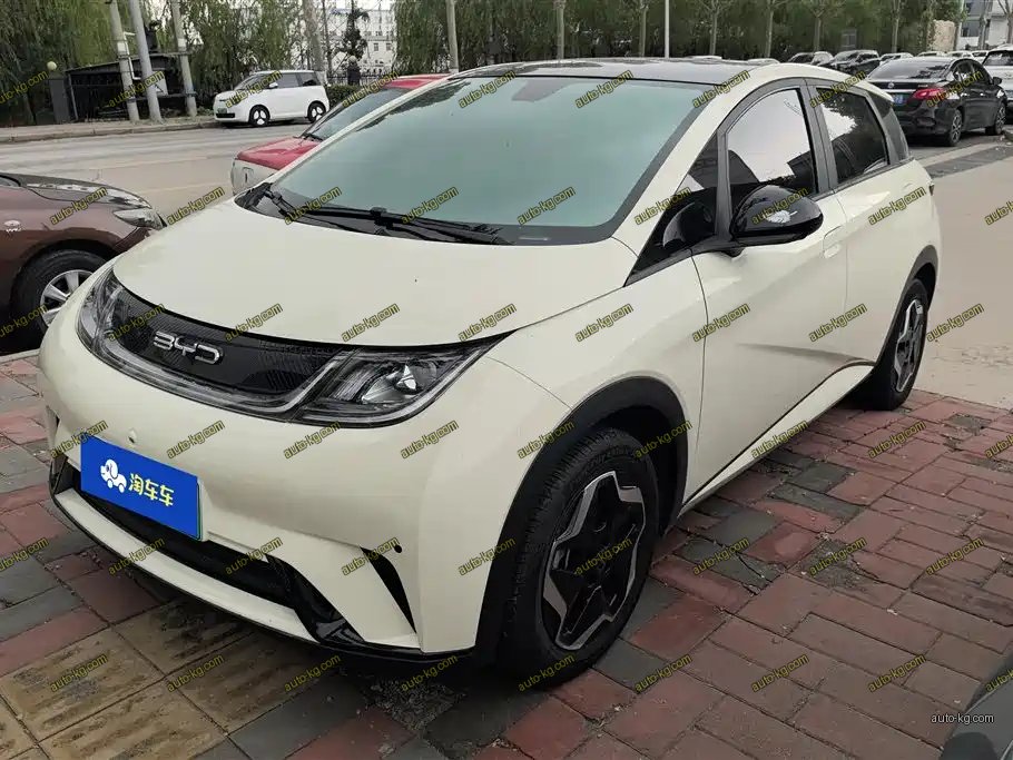 BYD Dolphin 2022