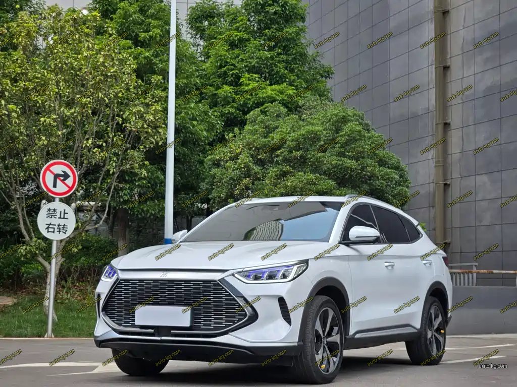 BYD PLUS New Energy 2022