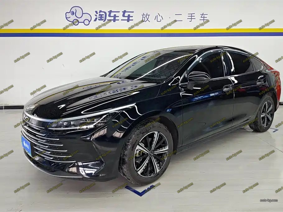 BYD Destroyer 05 2024