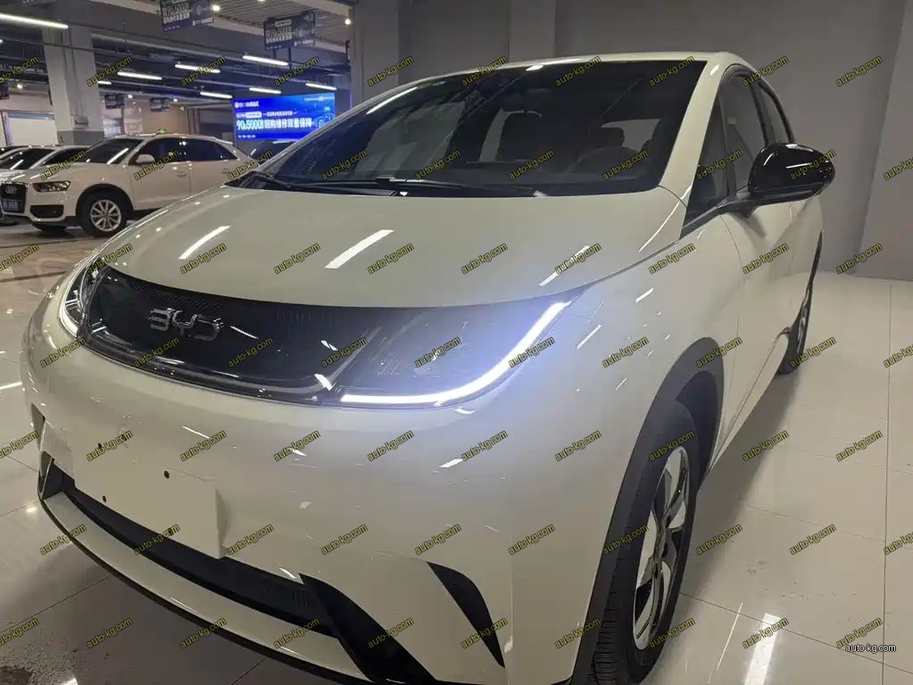 BYD Dolphin 2025