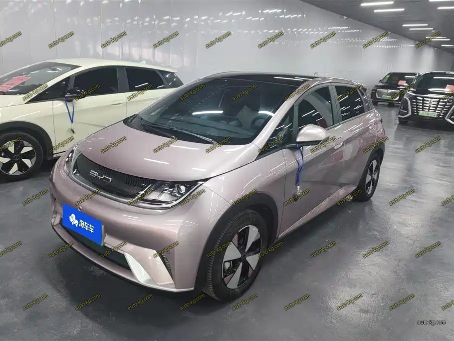 BYD Dolphin 2024