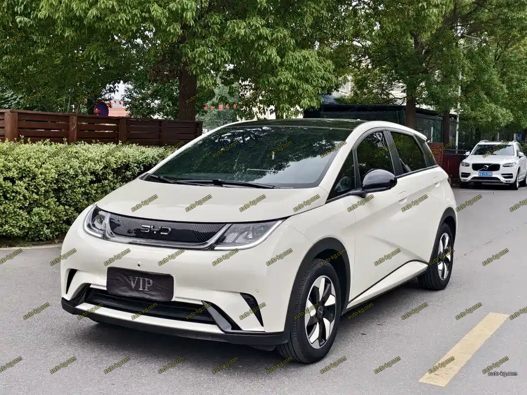 BYD Dolphin 2025