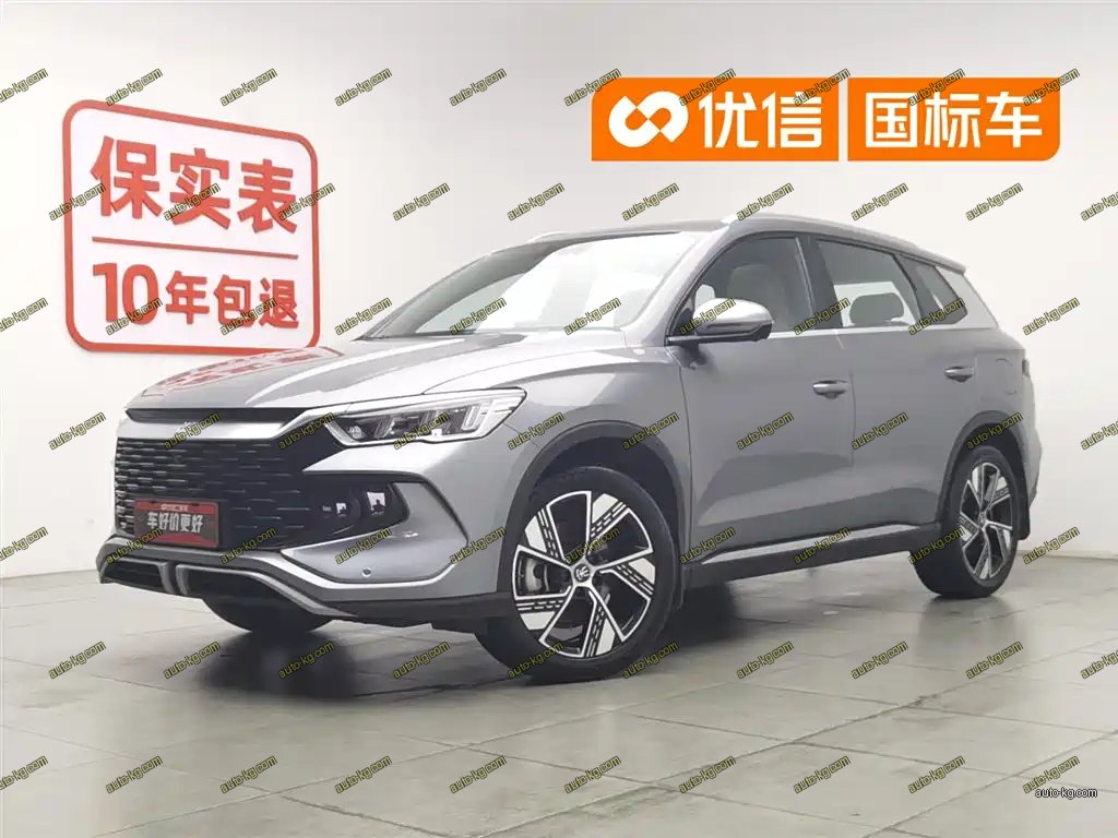 BYD Pro New Energy 2024