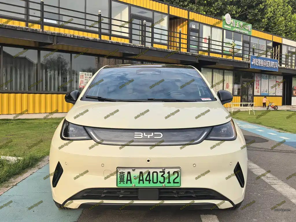 BYD Dolphin 2025