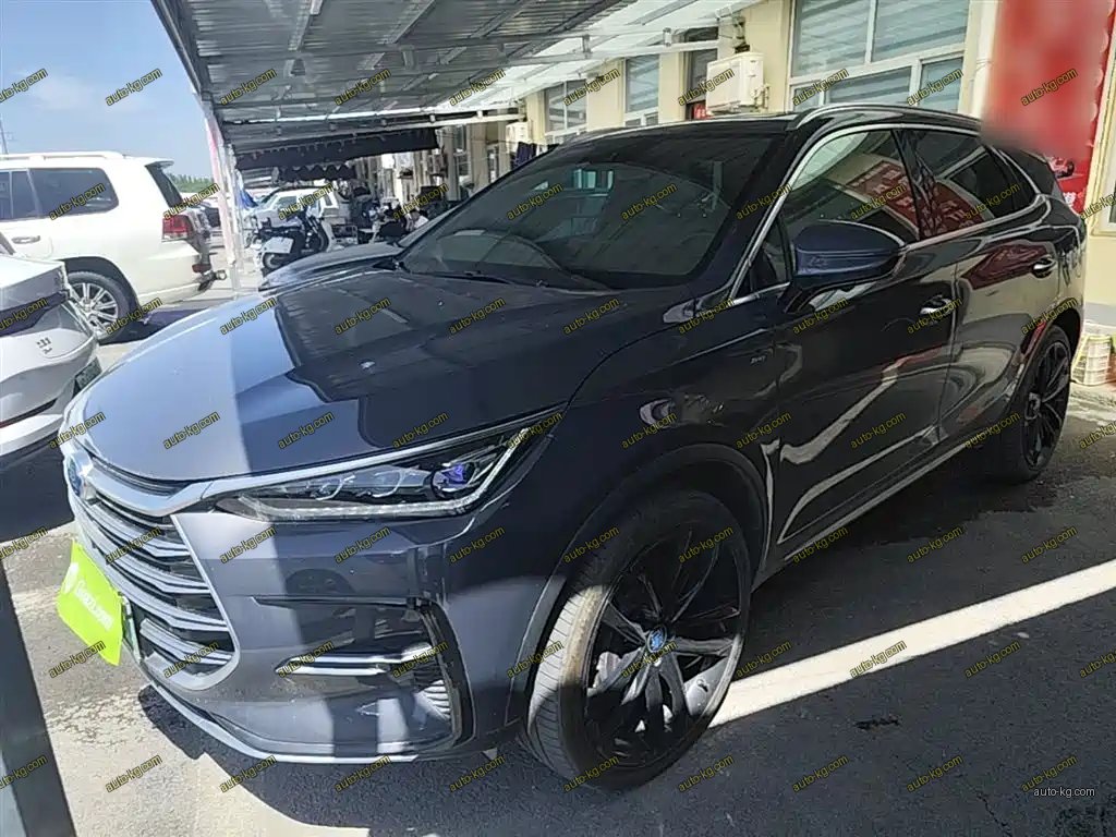 BYD Tang New Energy 2020