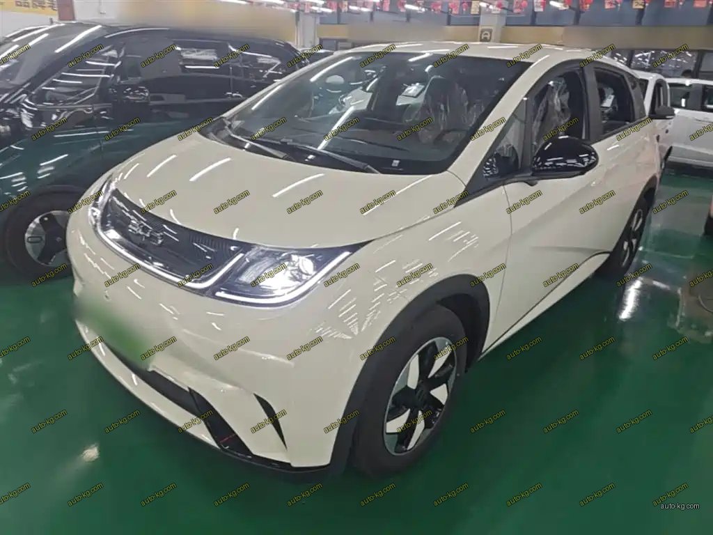 BYD Dolphin 2026