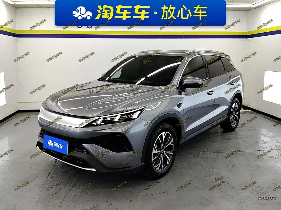BYD Pro New Energy 2025