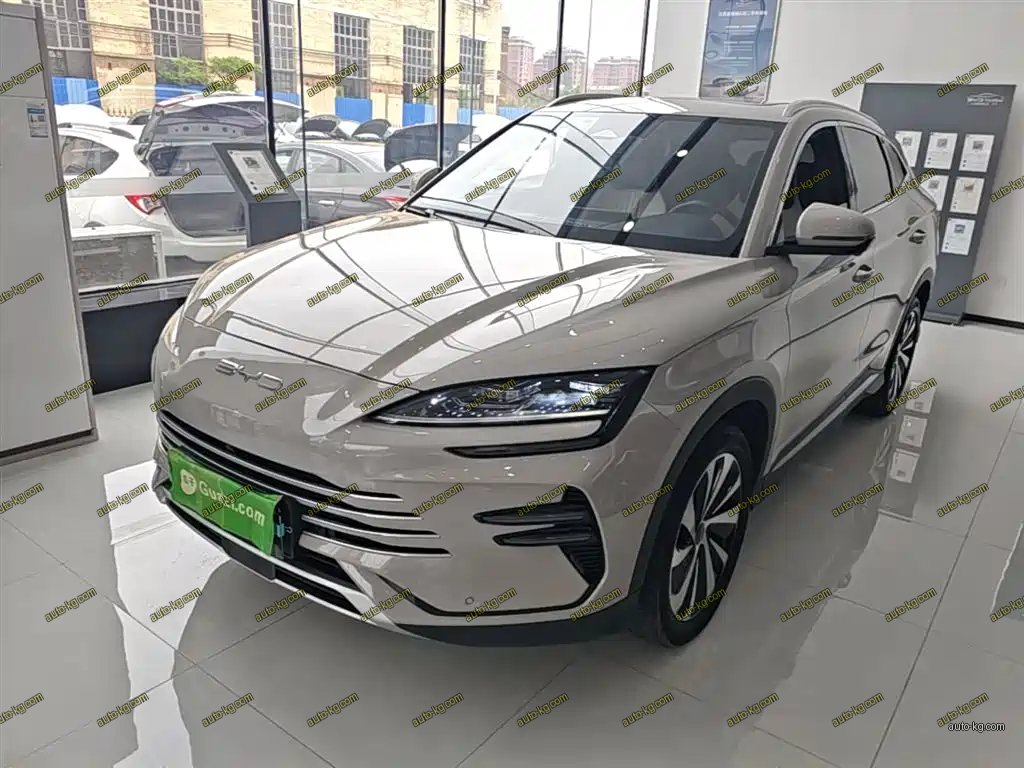 BYD PLUS New Energy 2024