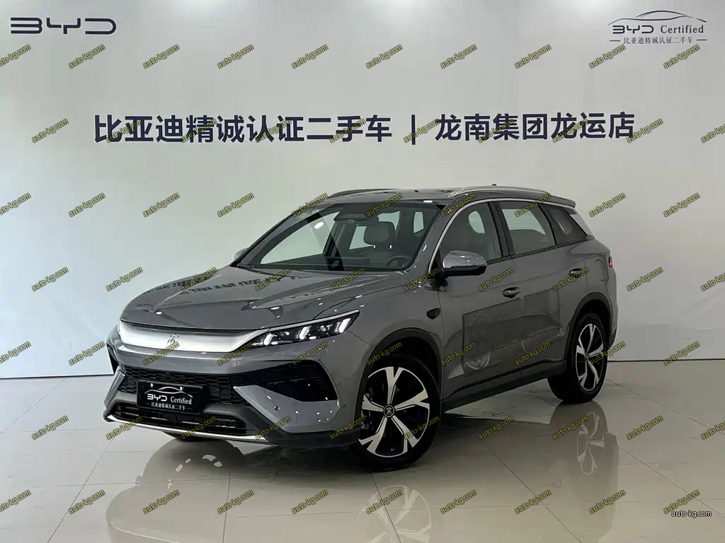 BYD Pro New Energy 2025