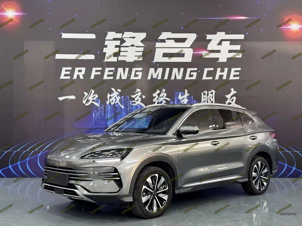 BYD PLUS New Energy 2025