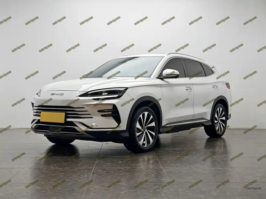 BYD PLUS New Energy 2024