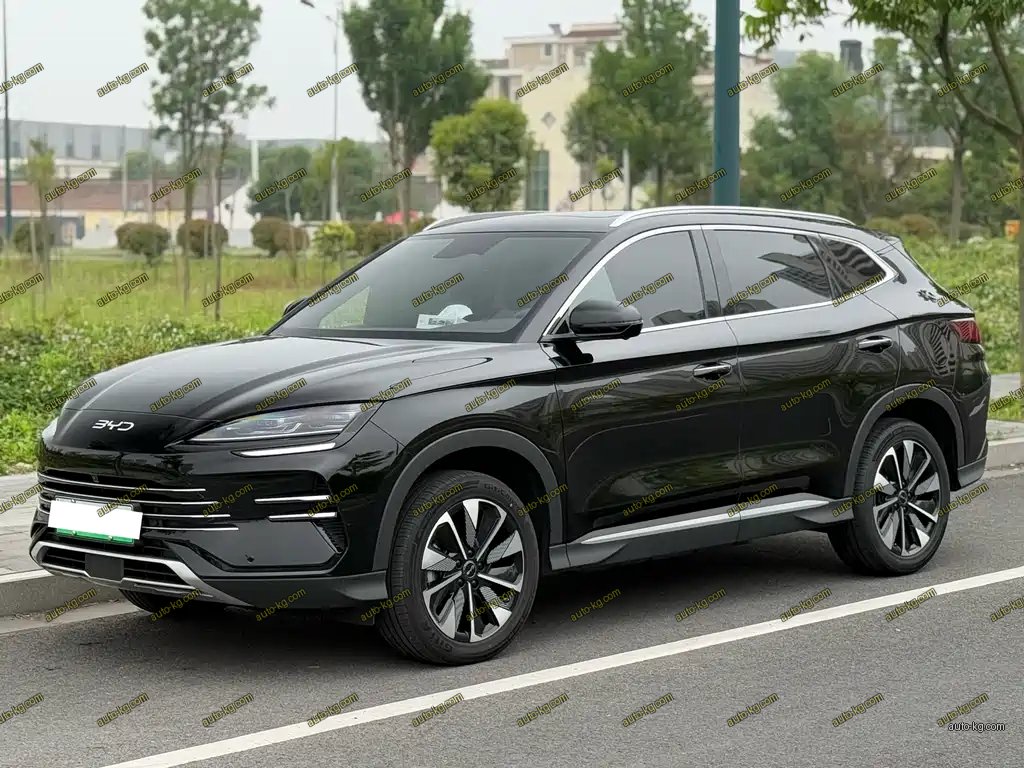 BYD PLUS New Energy 2024