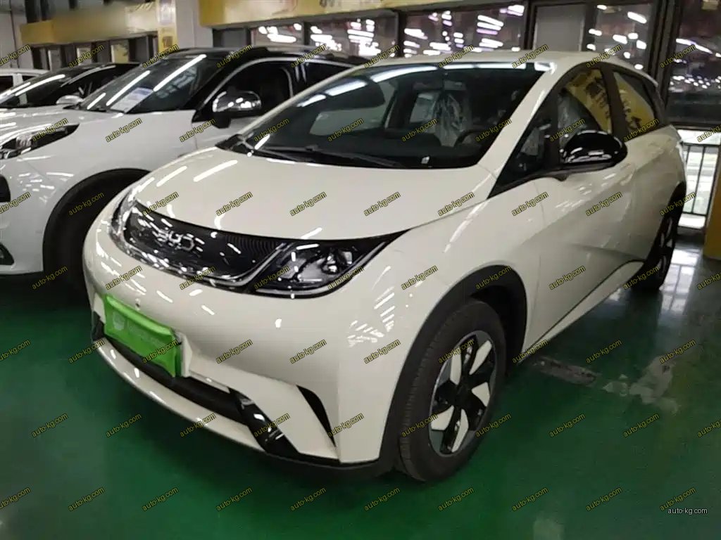 BYD Dolphin 2026