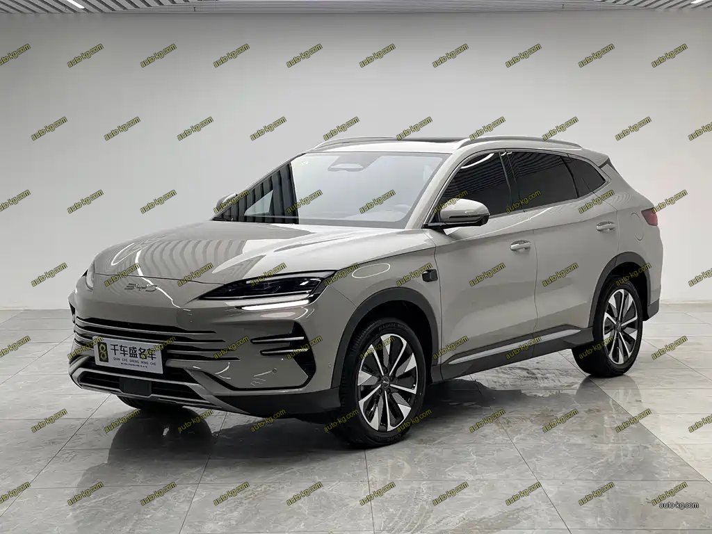 BYD PLUS New Energy 2025