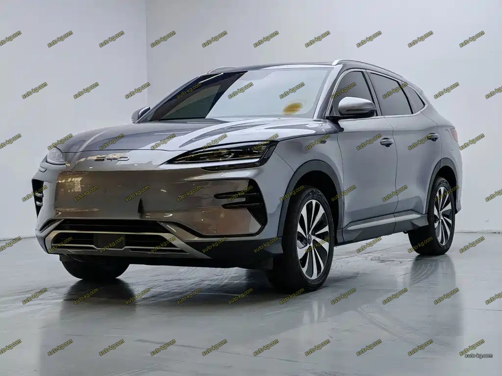 BYD PLUS New Energy 2024