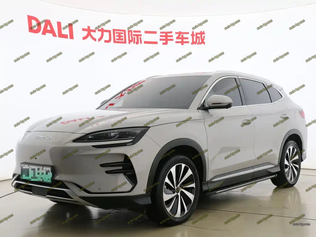 BYD PLUS New Energy 2024