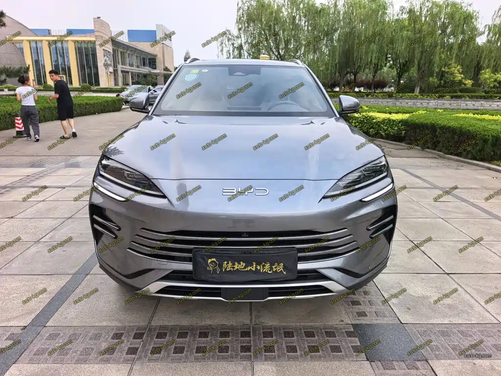 BYD PLUS New Energy 2026