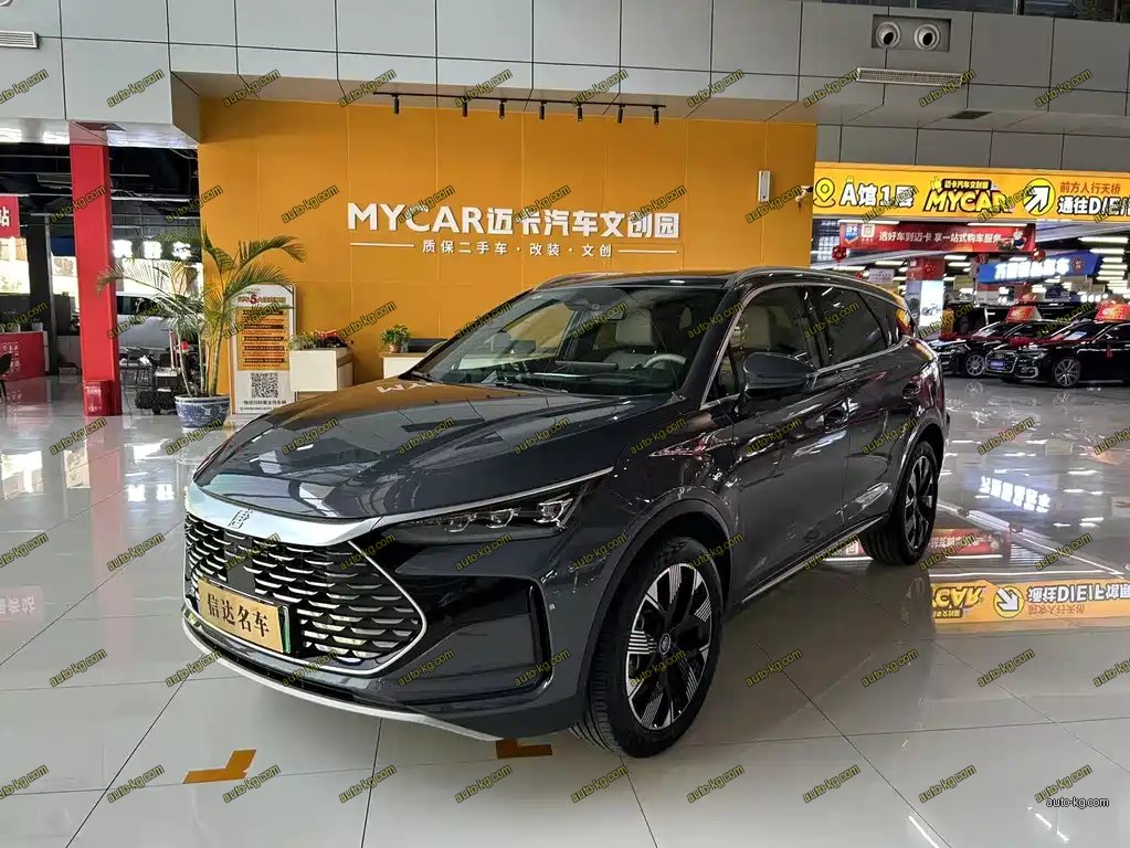 BYD Tang New Energy 2024