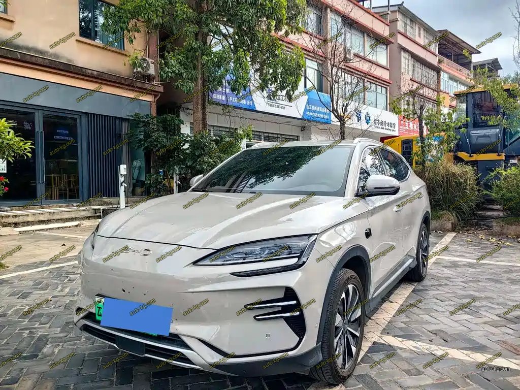 BYD PLUS New Energy 2025
